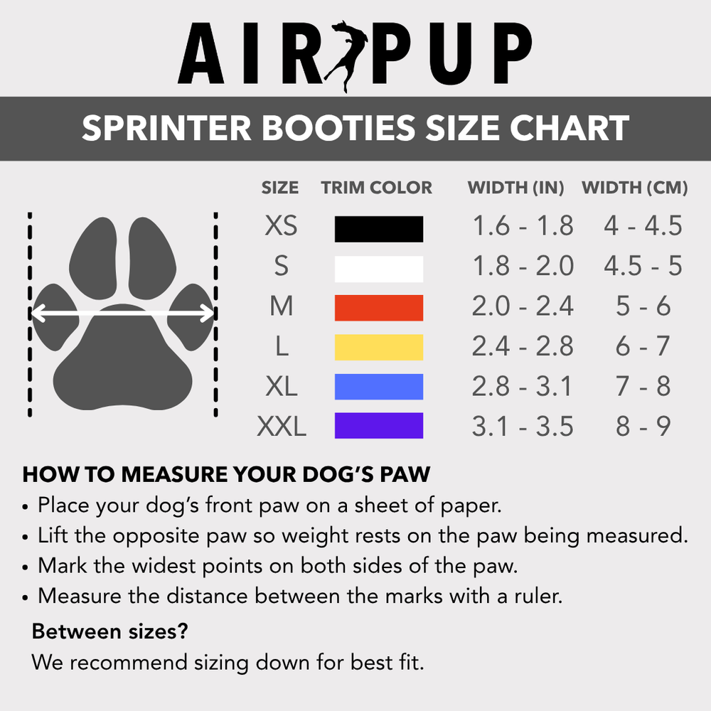 Sprinters Set AIR PUP SPRINTERS - SET OF 4 – Air Pup