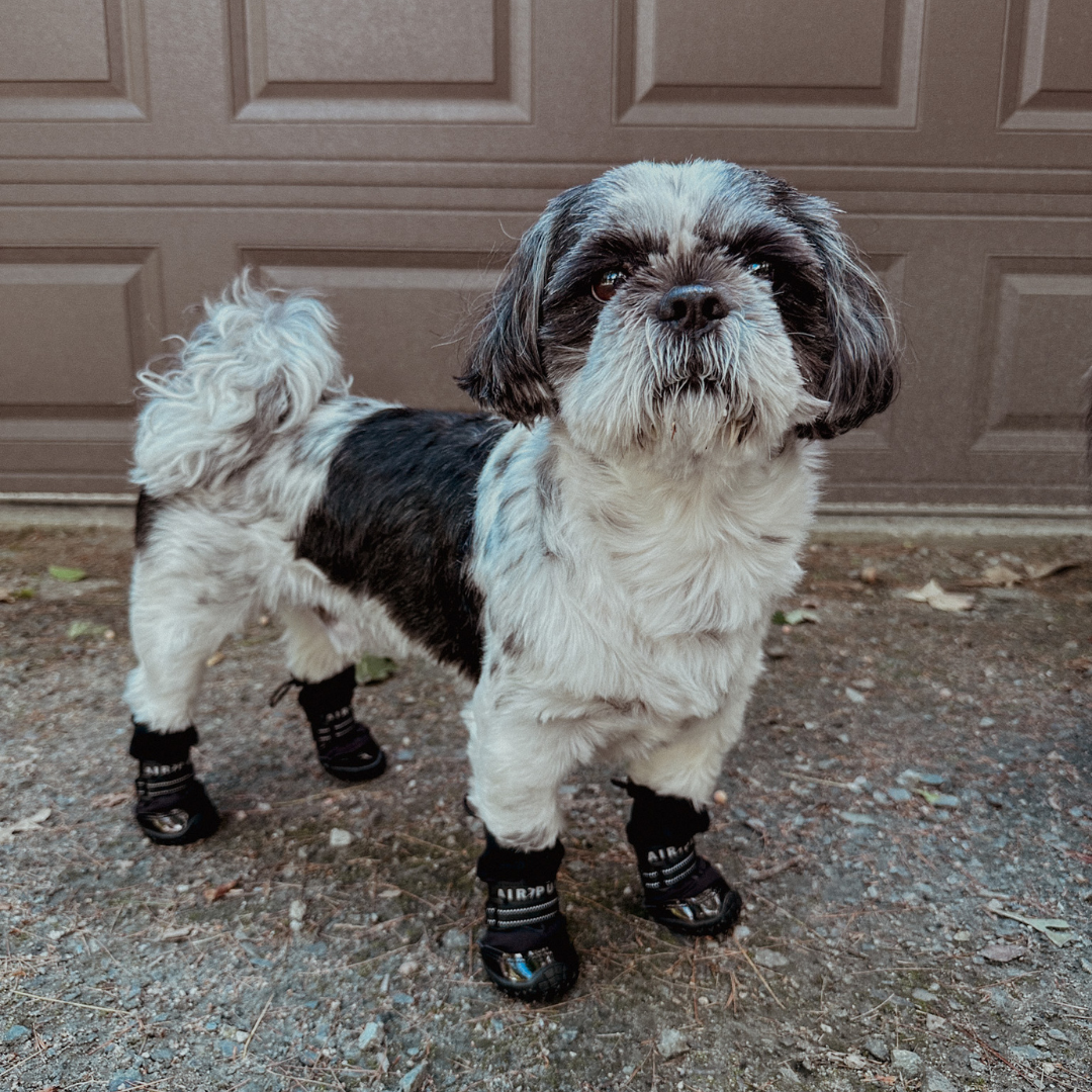 Shih Tzu Faux Fur Boots Shih Tzu Faux Fur Boots