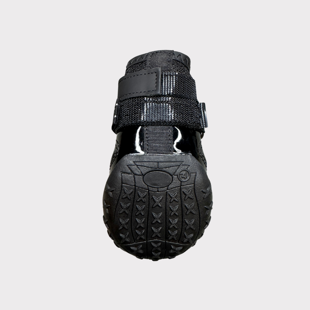 
                  
                    black-5
                  
                