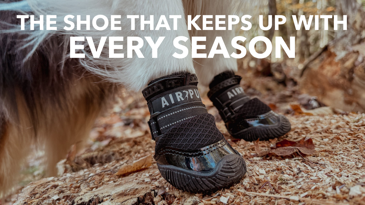 The shoe that keeps up with every season