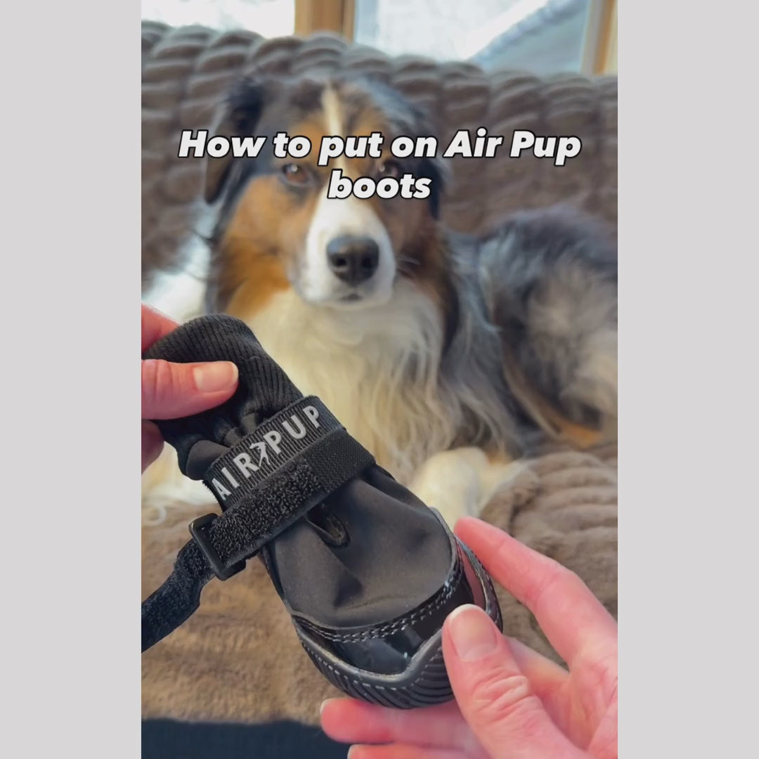 AIR PUP DOG BOOTS - SET OF 4