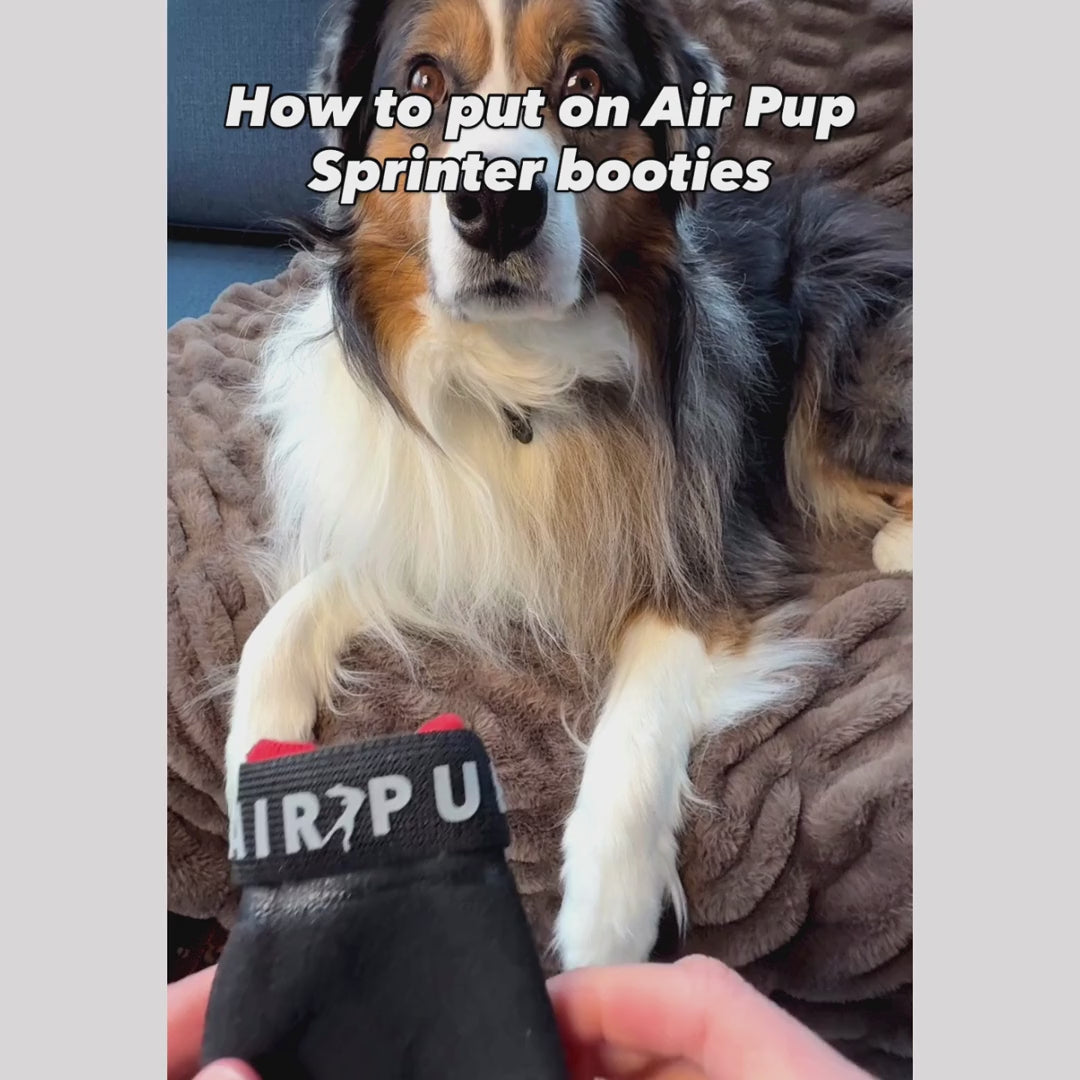 Video showing how to put Air Pup Sprinter booties on your dog's paw