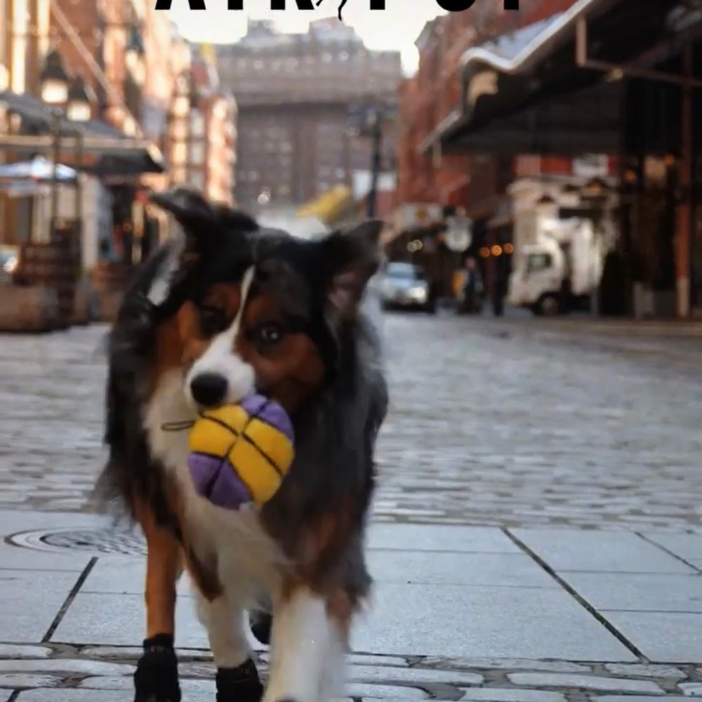 
                  
                    Load and play video in Gallery viewer, black-9
                  
                