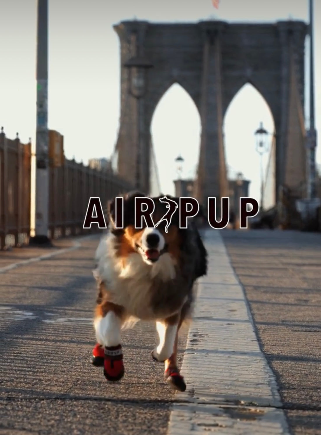 AIR PUP 1 RETRO RED - DOG SHOES / BOOTS - SET OF 4