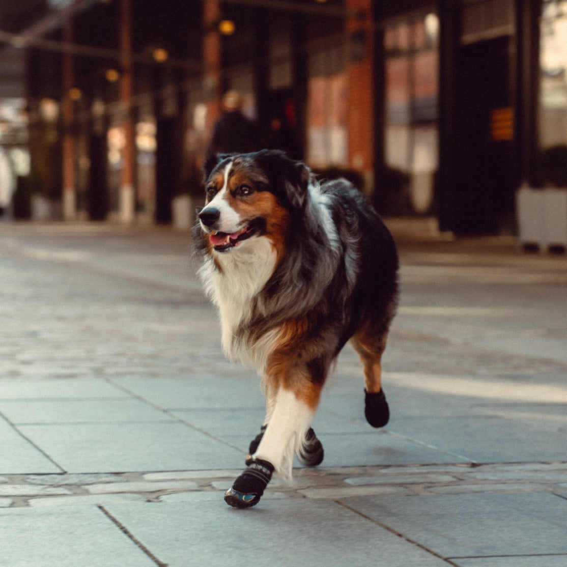 AIR PUP 1 REFLECTIVE BLACK DOG SHOES / BOOTS SET OF 4 Air Pup