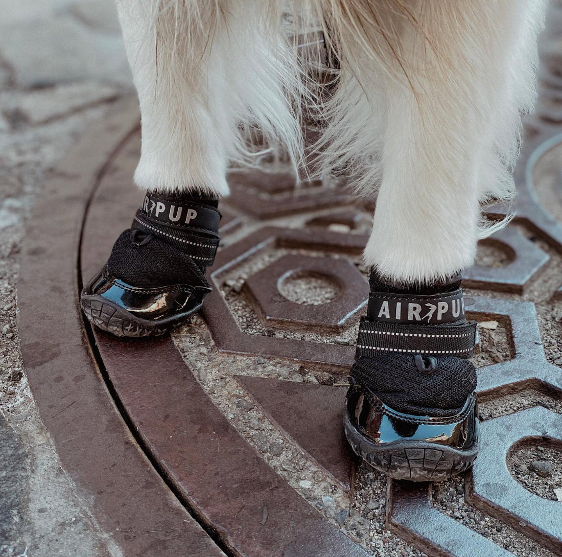 AIR PUP 1 REFLECTIVE BLACK - DOG SHOES / BOOTS - SET OF 4