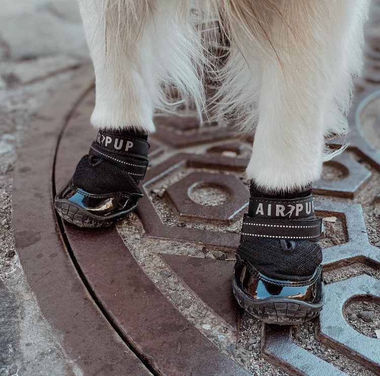AIR PUP 1 REFLECTIVE BLACK DOG SHOES / BOOTS SET OF 4 Air Pup
